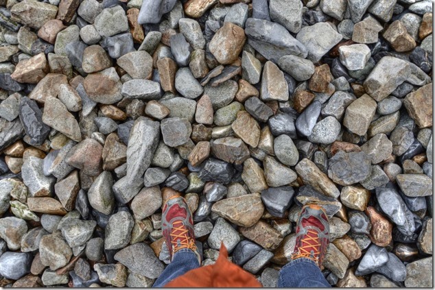 Quadra,beach,ocean,nature,Open Bay,drift wood