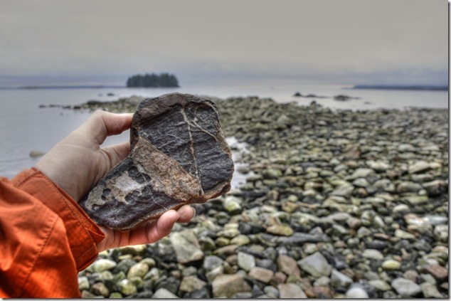 beach,Quadra,Open Bay,Gulf Islands,nature,beach combing