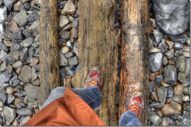 Quadra,beach,ocean,nature,Open Bay,drift wood