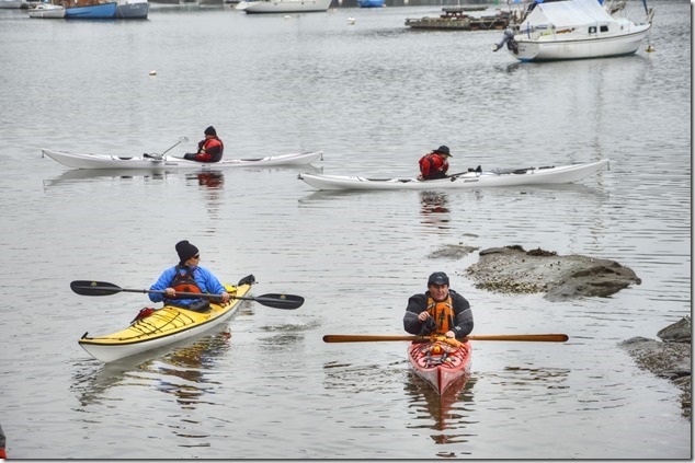 Gulf Islands,Thetis,kayak,ocean,marina,BC Ferries,Telegraph Harbour