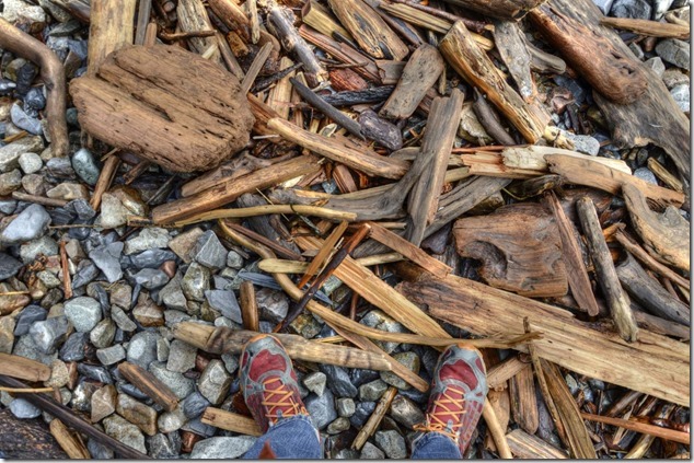 Quadra,beach,ocean,nature,Open Bay,drift wood