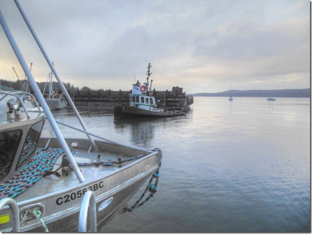 Fanny Bay,Highway 19A,tugs,marina,Albern