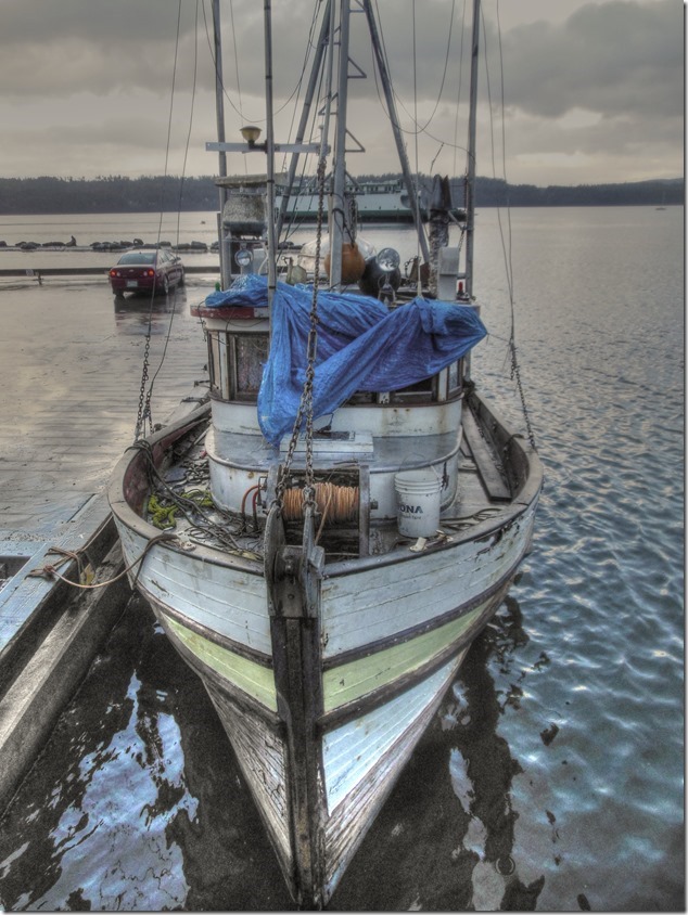 Fanny Bay,Highway 19A,fishing boats,marina,Central Isle