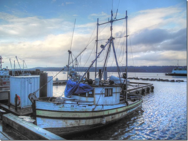 Fanny Bay,Highway 19A,fishing boats,marina,Central Isle