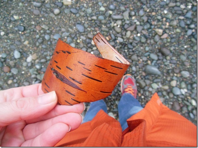 Campbell River,beach,nature,Highway 19A,birch bark Campbell River,beach,nature,Highway 19A,birch bark