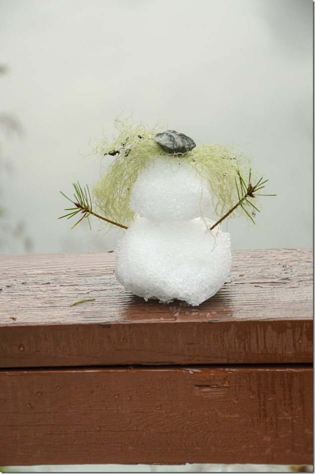 Strathcona,Snowgirl,snow,einter,nature,Highway 28,Buttle Lake