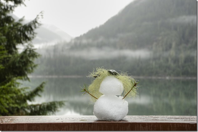 Strathcona,Snowgirl,snow,einter,nature,Highway 28,Buttle Lake