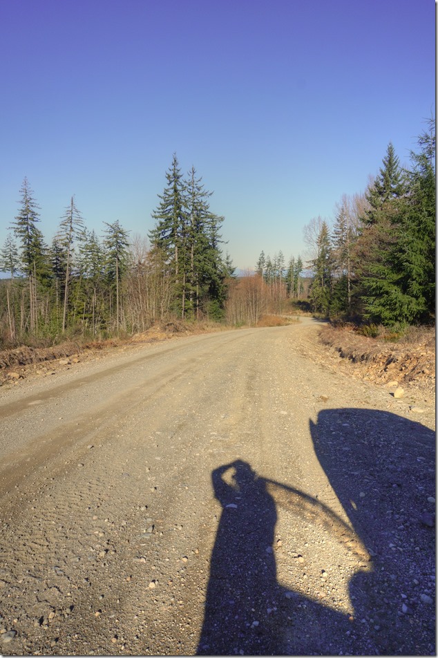 Constitution Hill,Mt Washington,Duncan Bay Main,logging road