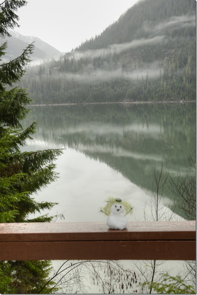 Strathcona,Snowgirl,snow,winter,nature,Highway 28,Buttle Lake