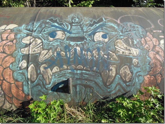Pipeline graffiti,Puntledge penstock pipeline,art, BC Hydro, Comox Valley, graffiti, pipeline