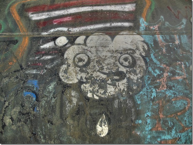 Pipeline graffiti,Puntledge penstock pipeline,art, BC Hydro, Comox Valley, graffiti, pipeline