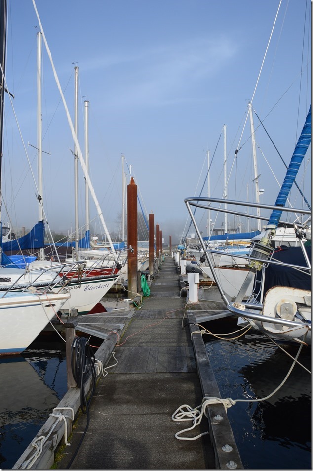 Comox Marina,boats,fish boats,marina,Comox Valley