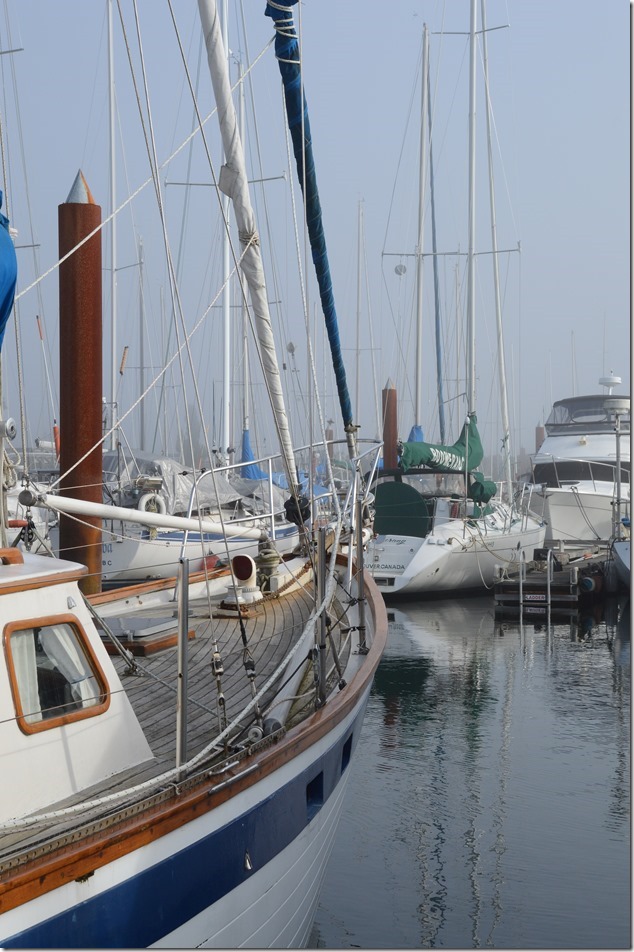 Comox Marina,boats,fish boats,marina,Comox Valley