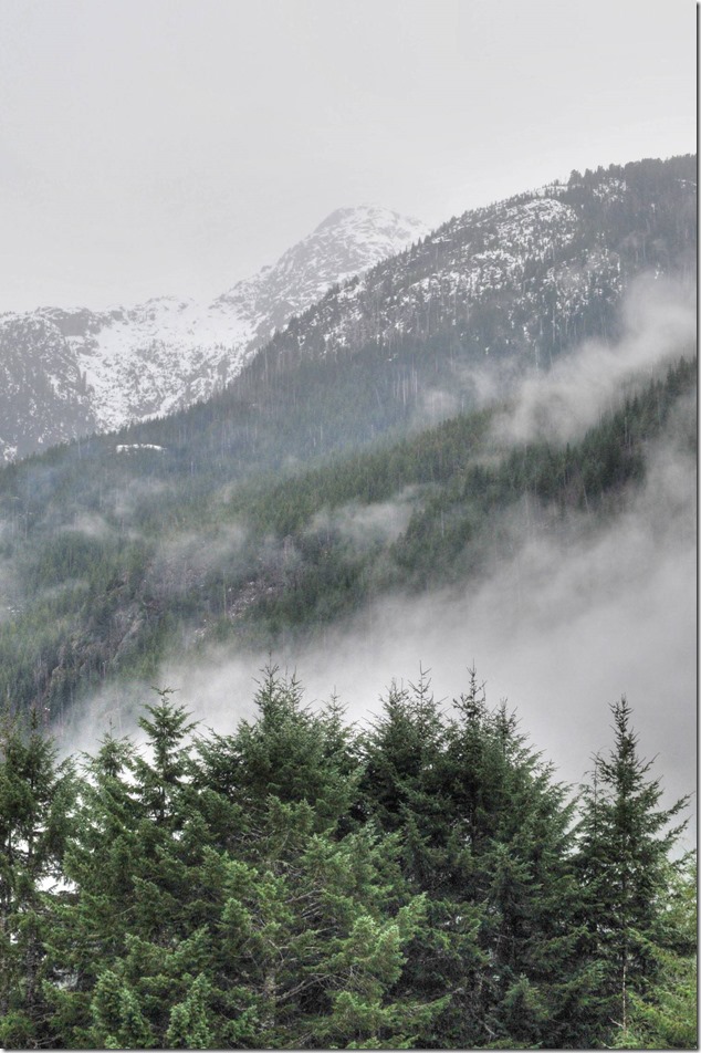 Westmin Road,Jim Mitchell Lake Road,Strathcona,mountains,fog,snow,winter,nature,Highway 28,Buttle Lake