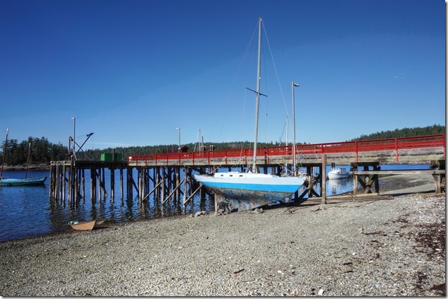 marine life,Mansons Landing,wharf,anenome,mussels,sail boats,Cortes Island,hull cleaning