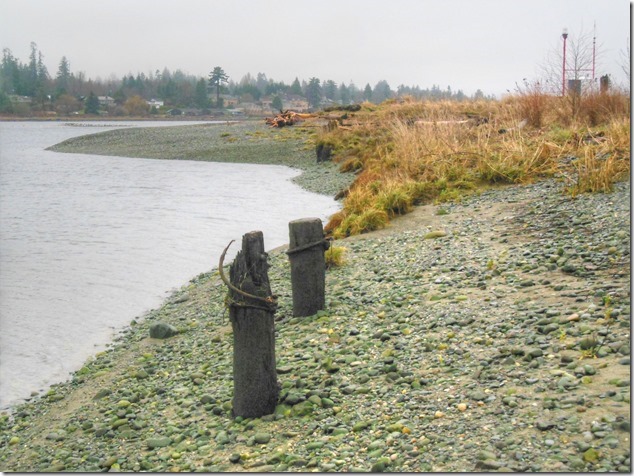 Campbell River,Quadra Island,Discovery Passage,ocean,beach,winter,Dick Murphy Park