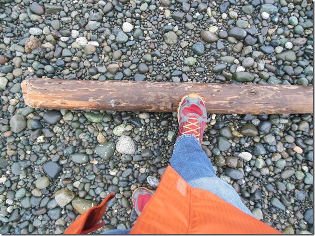 Campbell River,Quadra Island,Discovery Passage,ocean,beach,winter,Dick Murphy Park