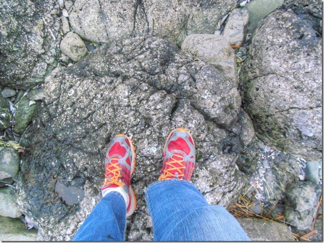 Ucluelet,Pacific Rim,Highway 4,beach,nature,Big Beach,sea weed Ucluelet,Pacific Rim,Highway 4,beach,nature,Big Beach,sea weed