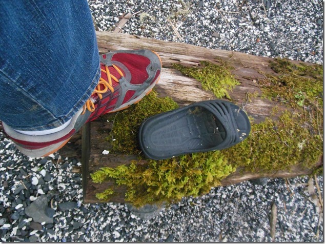 Ucluelet,Pacific Rim,Highway 4,beach,nature,Big Beach,sea weed Ucluelet,Pacific Rim,Highway 4,beach,nature,Big Beach,sea weed