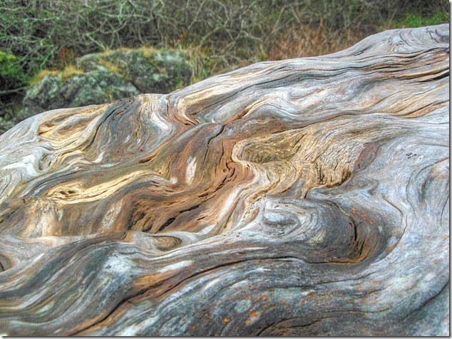 Ucluelet,Pacific Rim,Highway 4,beach,nature,driftwood,Little Beach