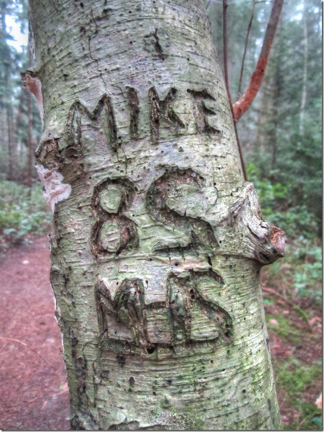 nature,forest,Hornby Island,tree carving,Fillongley Provincial Park