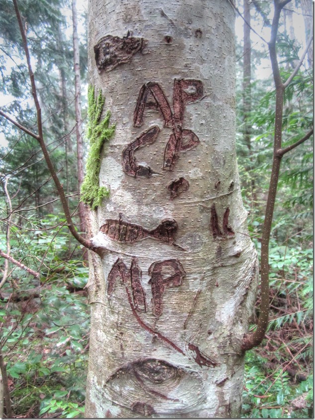 nature,forest,Hornby Island,tree carving,Fillongley Provincial Park