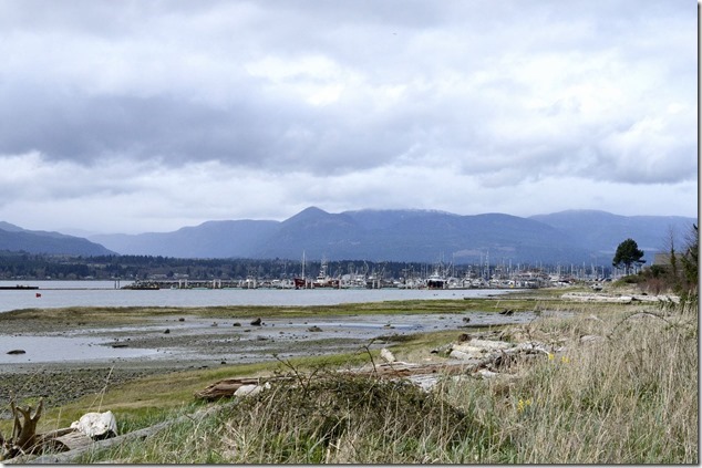 Comox,Filberg Park,nature,Comox Harbour