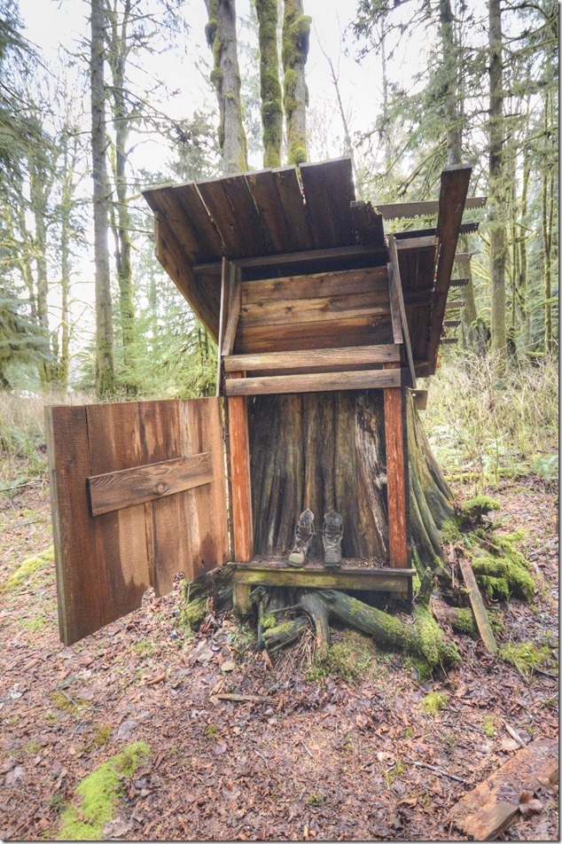 Sayward,North Island,Highway 19,artistry,logging