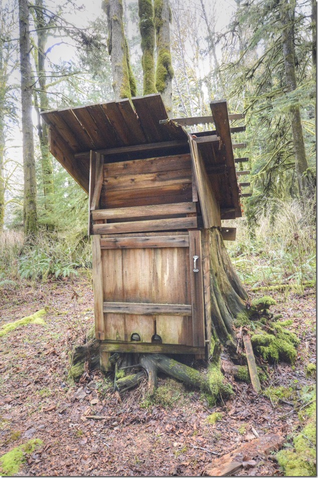 Sayward,North Island,Highway 19,artistry,logging