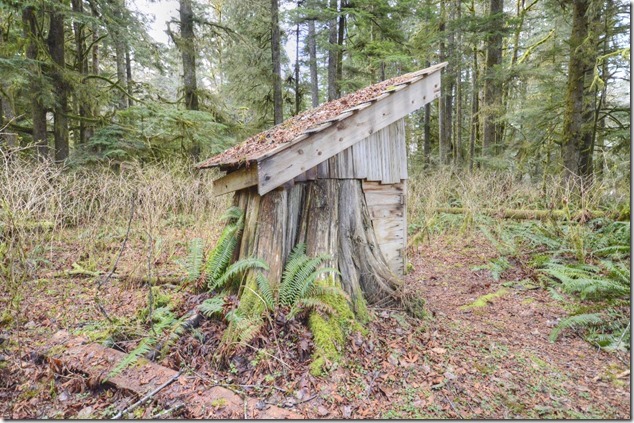 Sayward,North Island,Highway 19,artistry,logging