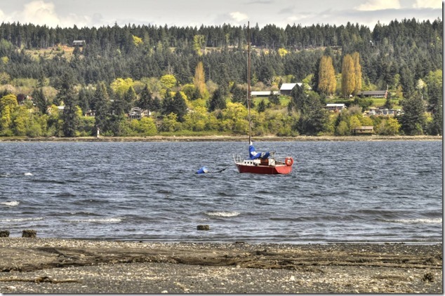 Baynes Sound,Denman  Island,Gulf Islands