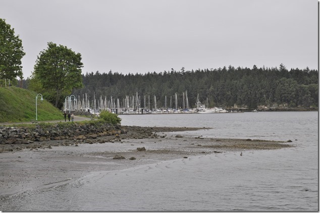 The big picture,marina,panorama,Nanaimo,Millstone Trail,bridges,harbour