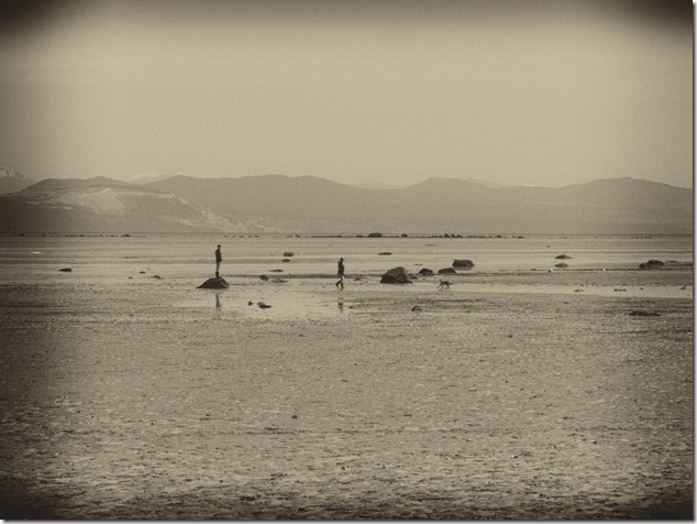 Kay Bay,Geogia Strait,Cape Lazo,Comox Valley