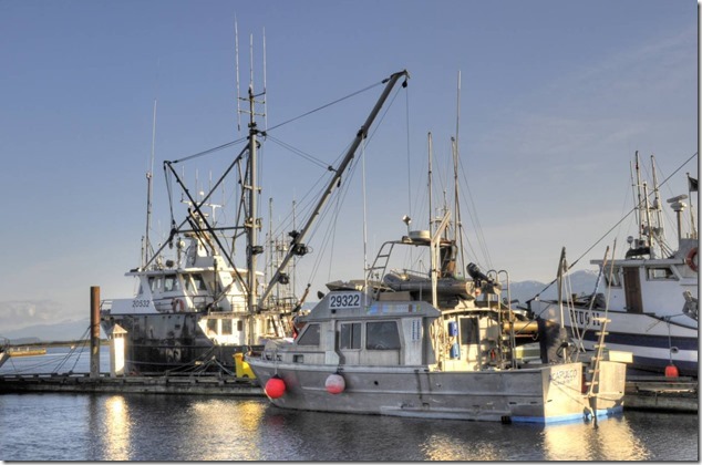 Comox Marina,fish boat,ships,marina,Comox Harbour,Acapulco