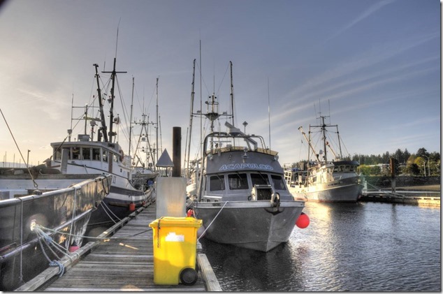 Comox Marina,fish boat,ships,marina,Comox Harbour,Acapulco