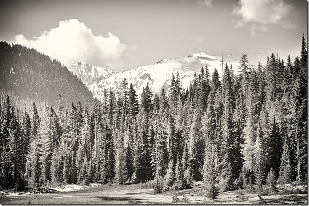 nature,Provincial Park,Strathcona,snow,spring,mountains,hiking,forest