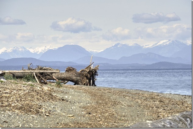 Georgia Strait ,beach,ocean,HIghway 19 A,Oyster River,panoramic