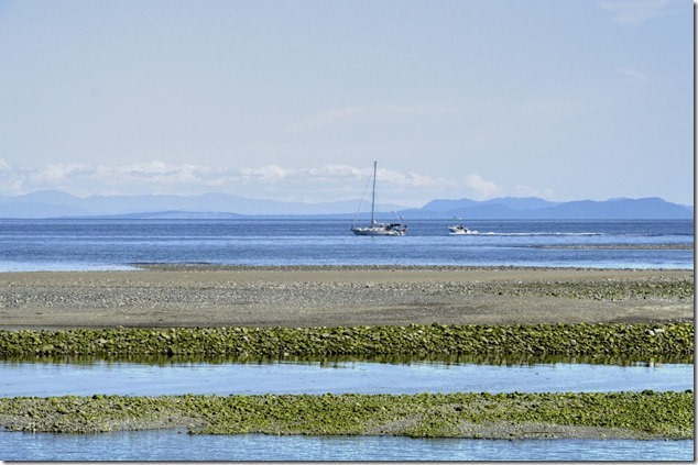 Georgia Strait ,beach,ocean,HIghway 19 A,Oyster River,panoramic