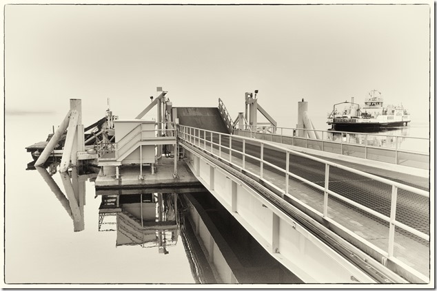 Gulf Islands,Buckley Bay,Denman,nature,ocean,fog,Baynes Sound,Quinitsa,BC Ferries