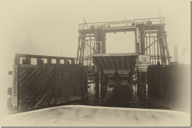 Buckley Bay,Gulf Islands,Denman,nature,ocean,fog,Baynes Sound,Quinitsa,BC Ferries