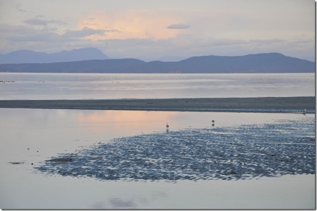 Kye Bay,Cape Lazo,Comox,Georgia Strait,beach,ocean,sunset,twilight,seagulls
