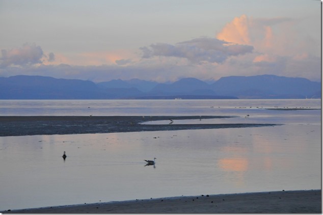 Kye Bay,Cape Lazo,Comox,Georgia Strait,beach,ocean,sunset,twilight,seagulls