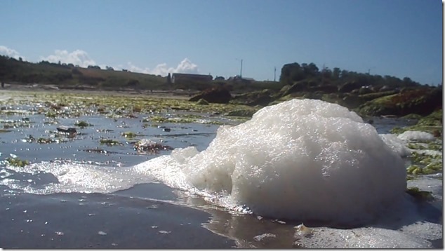 Air Force Beach,Georgia Stait,Beach