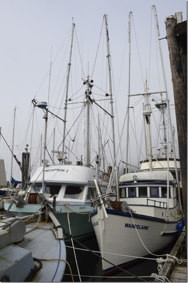 Gulf Islands,Hornby,fish boats,Ford Cove,ocean,marina,Reaper I,Wandelaine