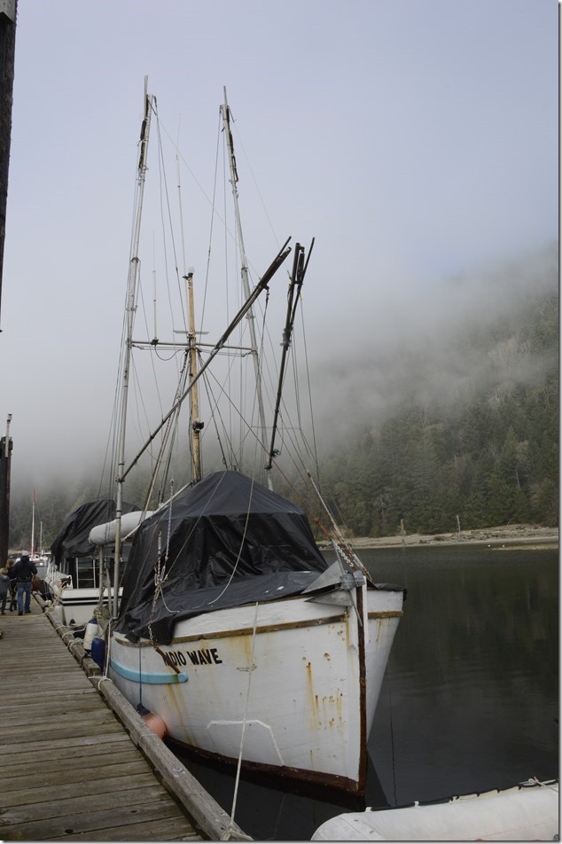 Gulf Islands,Hornby,fish boats,Ford Cove,ocean,marina,Radio Wave Gulf Islands,Hornby,fish boats,Ford Cove,ocean,marina,Radio Wave