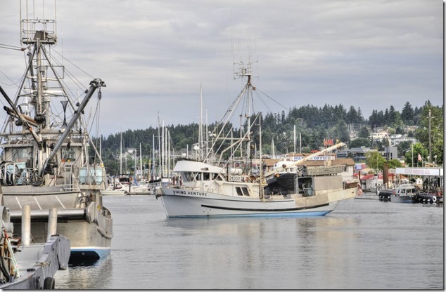 Campbell River,fish boats,marina,Viking Venture