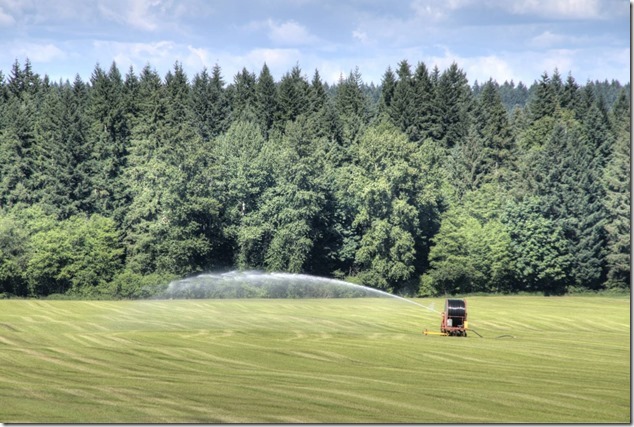 barns,farms,Comox Valley,Headquarters Road,irrigation