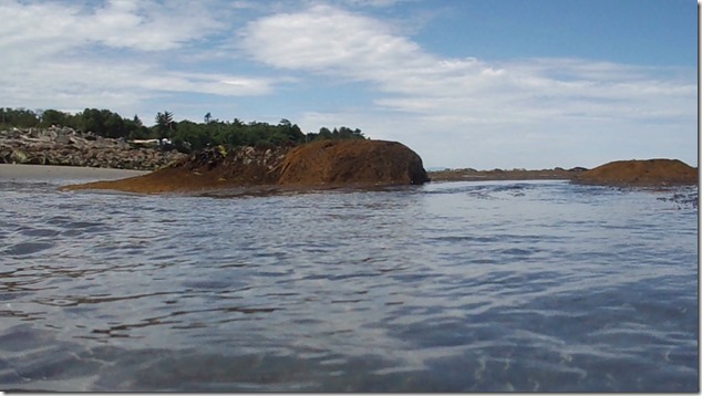 underwater,video,nature,Air Force Beach