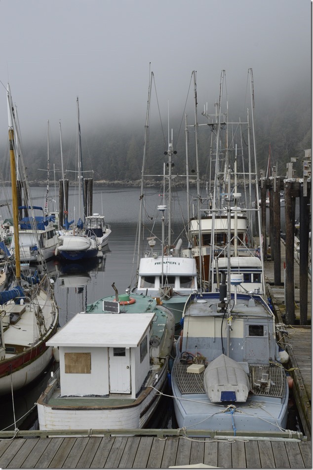 Gulf Islands,Hornby,fish boats,Ford Cove,ocean,marina,Reaper I,Wandelaine