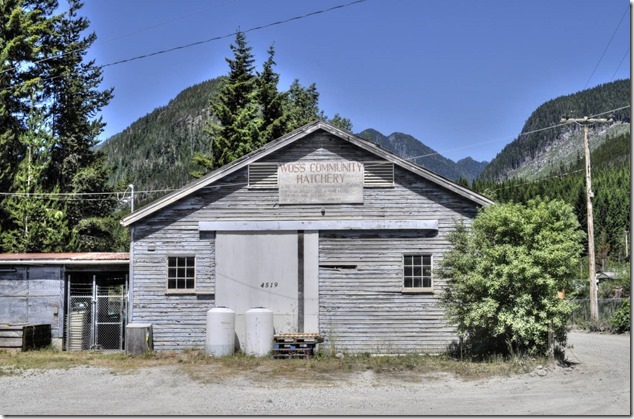Woss,hatchery,Woss Community Hatchery,salmon Woss,hatchery,Woss Community Hatchery,salmon